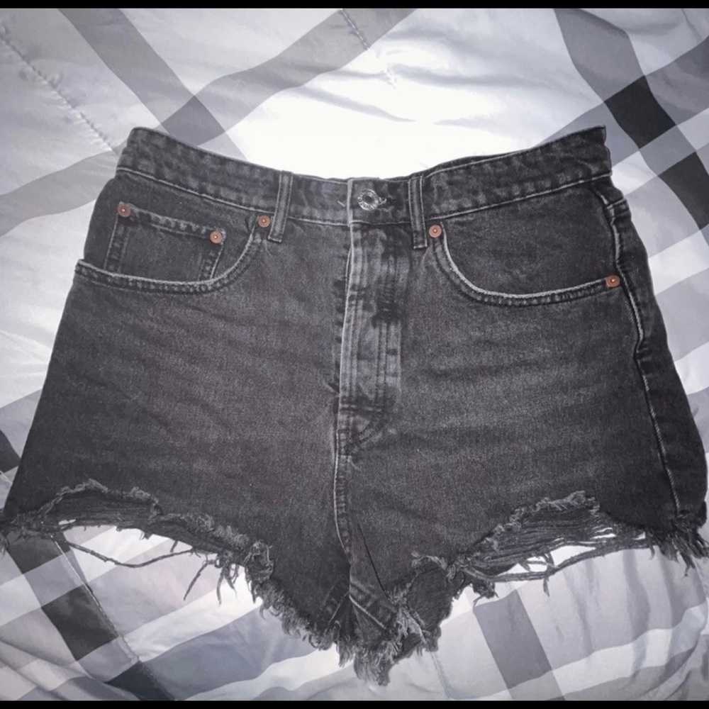 Zara Buttonfly Shorts